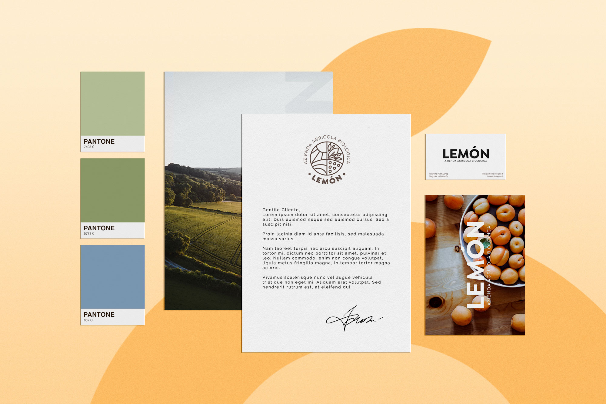 Servizi di Brand design